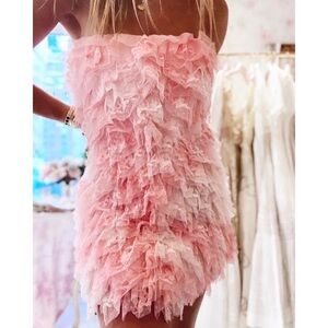 LoveShackFancy Calandre Tulle Mesh Overlay Dress in Pink and White Size 8